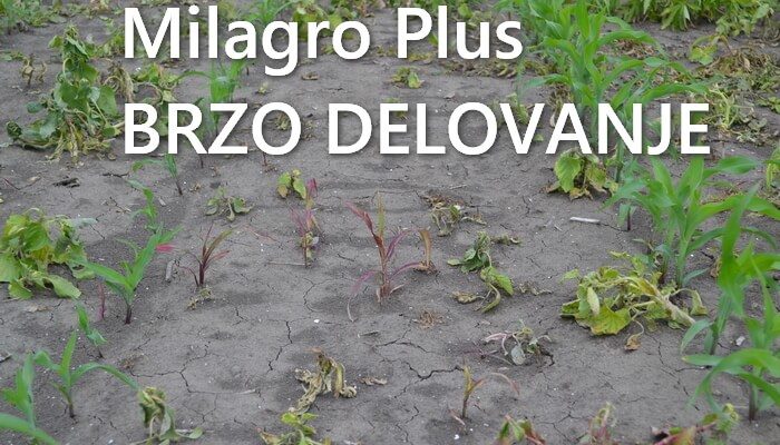 MilagroPlus herbicid