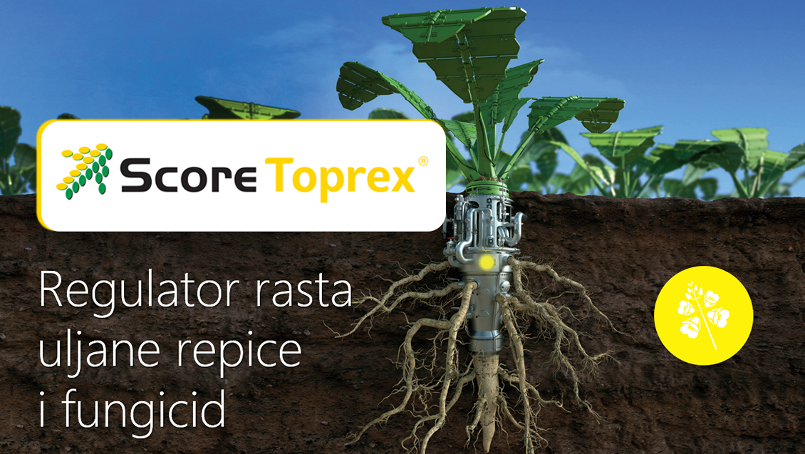ScoreToprex-Syngenta-regulator-rasta-fungicid-uljana-repica