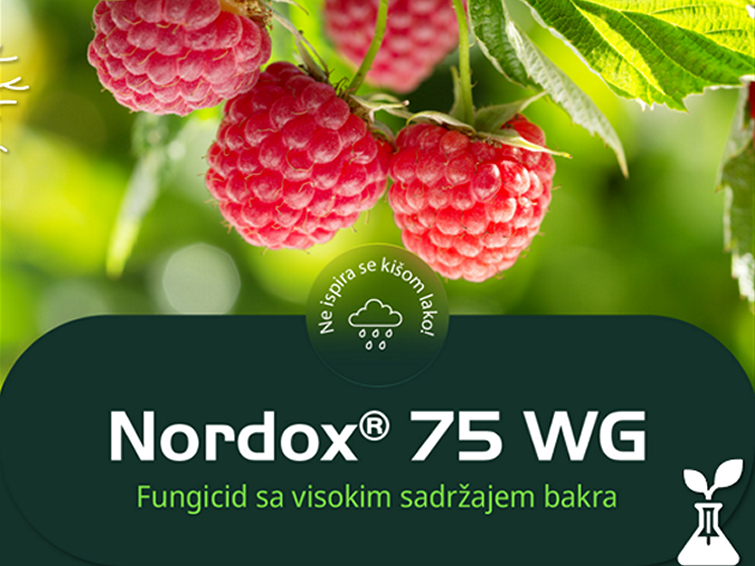nordox-fungicid-syngenta-pogodan-organska-proizvodnja_755x566.png