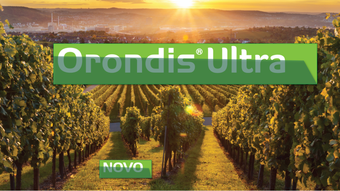 orondisultra-fungicid-syngenta-vinograd-zastita