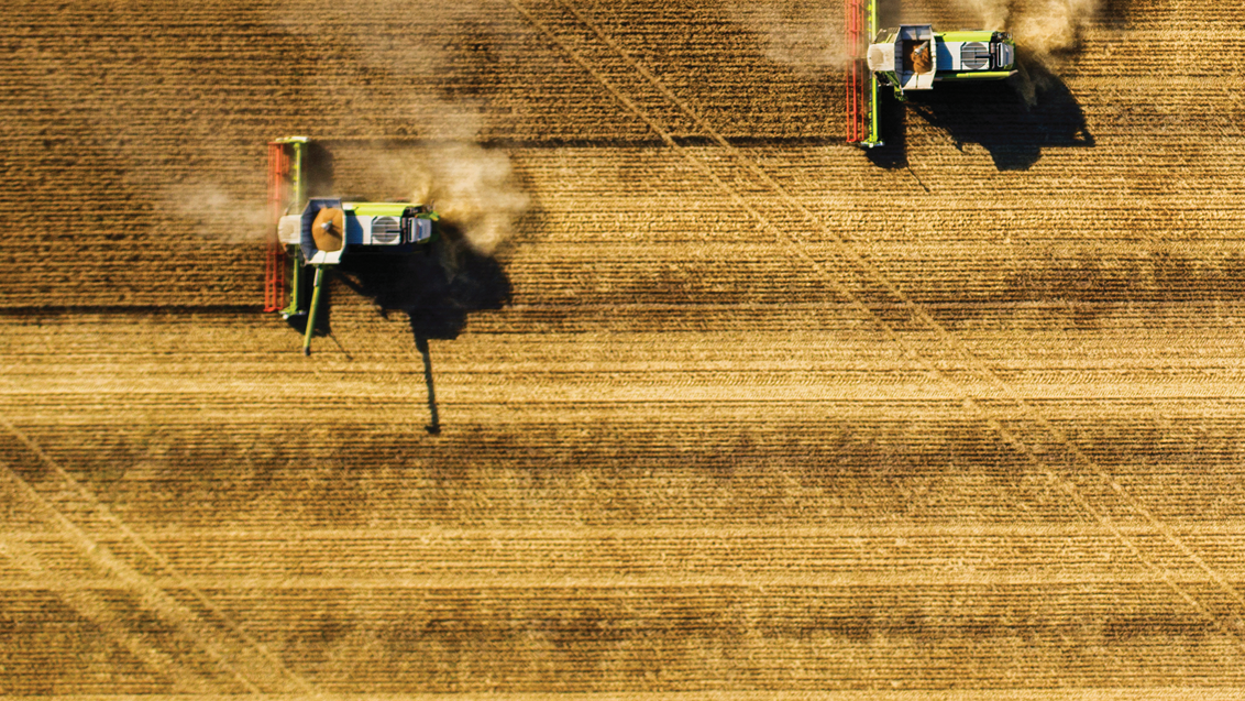 syngenta-zastita-psenice_1132x849_podloga_8.png