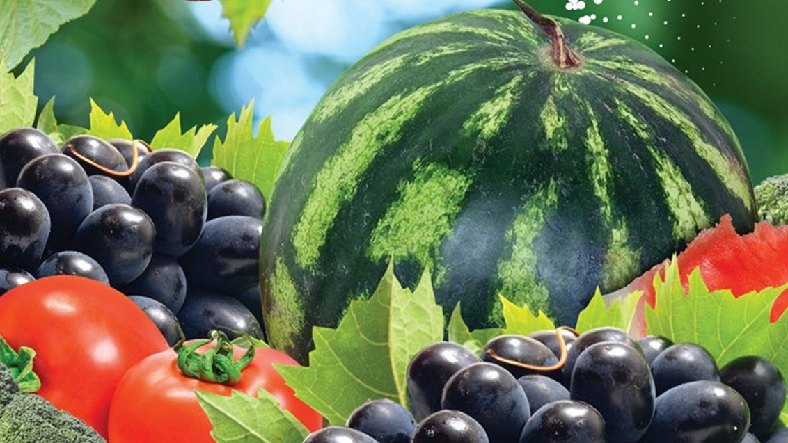 syngenta-biostimulator-zastita-bilja_x1132x637_povrce_loza.png