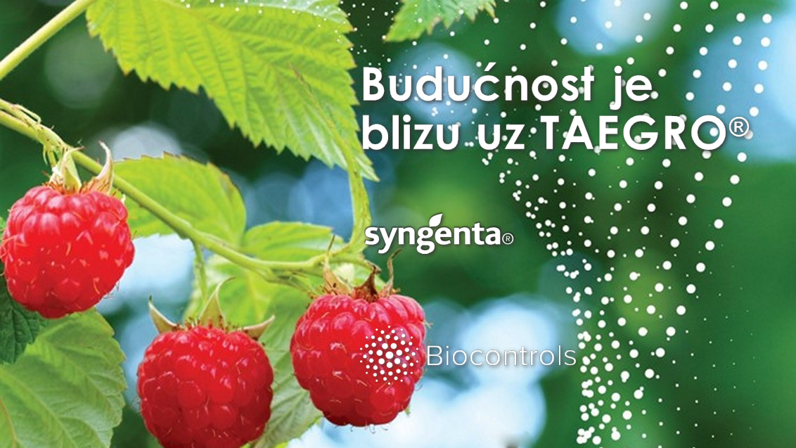 taegro-biostimulator-zastita-bilja_x1132x637_malina_2.png