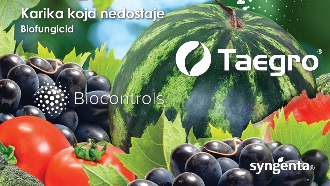 taegro-biostimulator-zastita-bilja_x1132x637_povrce_loza_2.png