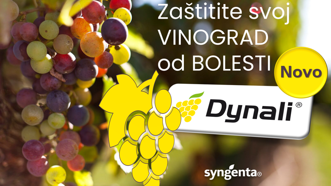 dynali-vinova-loza-zastita-syngenta_1132x637_2.png