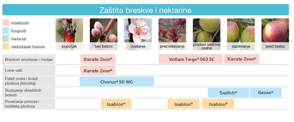 zastita-breskve-nektarine