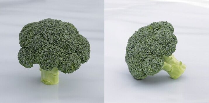 Syngenta seme brokolija Batory.