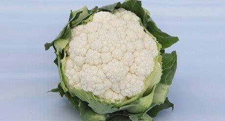 Syngenta seme karfiol Solistar.
