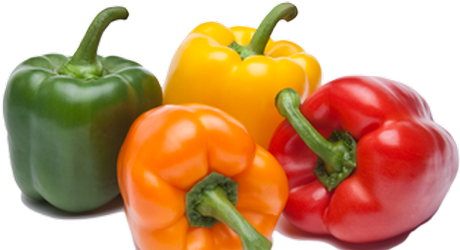 paprika-zastita-syngenta