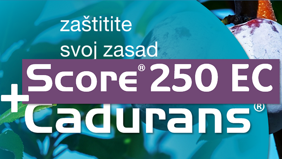 Score-Cadurans-pobedniciki-duet-zastita-vocaka-Syngenta