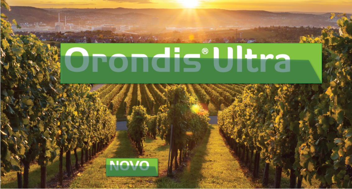 orondisultra-fungicid-syngenta-vinograd-zastita