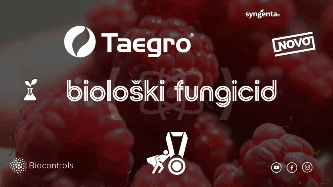 syngenta-taegro-biofungicid-zastita_d10.gif