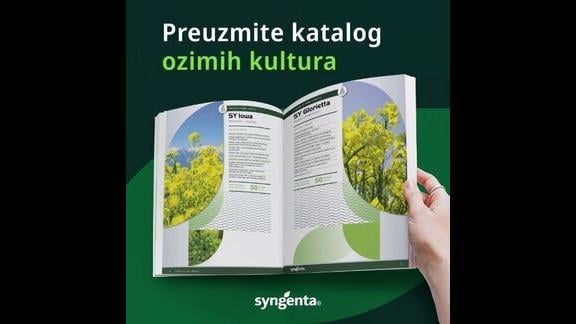 slika kataloga