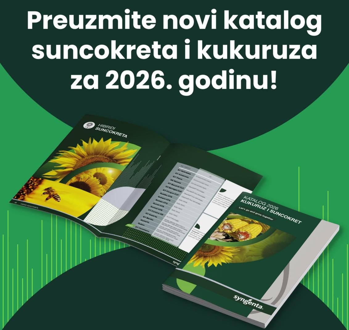Katalog_2026