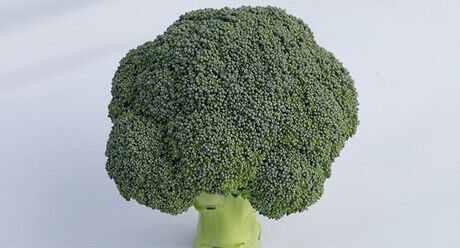 Syngenta seme brokolija Besty.