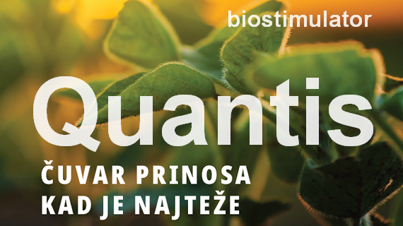 Quantis-biostimulator-Syngenta_570x320