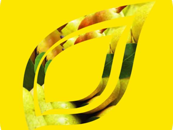 syngenta-zastita-bilja-fungicidi-insekticidi-herbicidi_320x320_icon_zuta_3.png