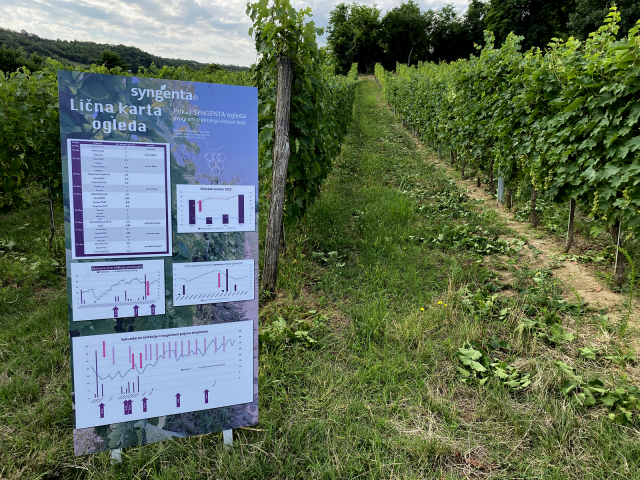 syngenta-dan-polja-zastita-vinove-loze-dynali-090dc_6.png