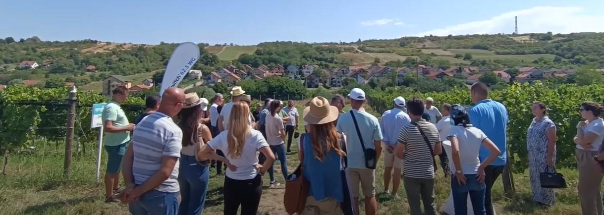dan-polja-zastita-vinove-loze-syngenta_2.jpeg