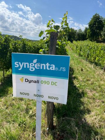 dynali-zastita-vinove-loze-syngenta_2.jpeg