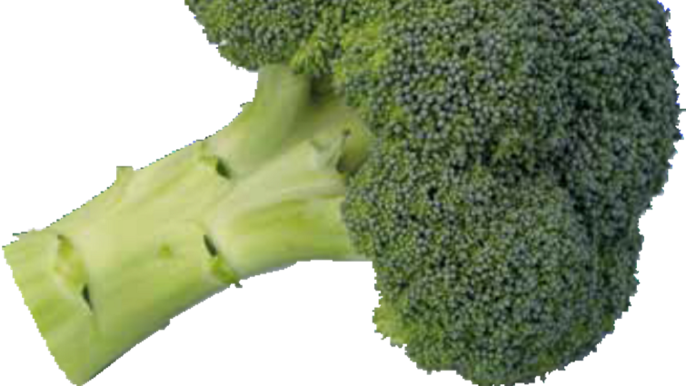 besty-brokoli-syngenta-povrce_1132x637.png