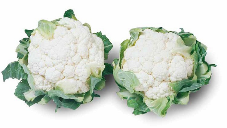 lecanu-karfiol-povrce-syngenta_1132x637.png