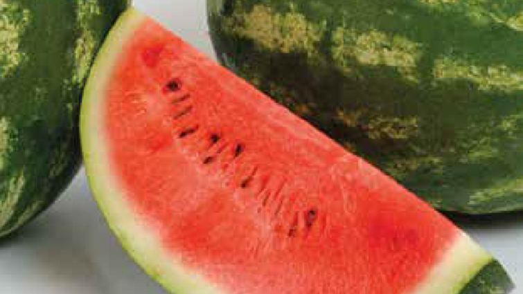 barka-lubenice-seme-syngenta_1132x637.png