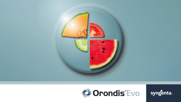 orondis-evo-fungicid-syngenta-zastita-povrca_1132x637.png