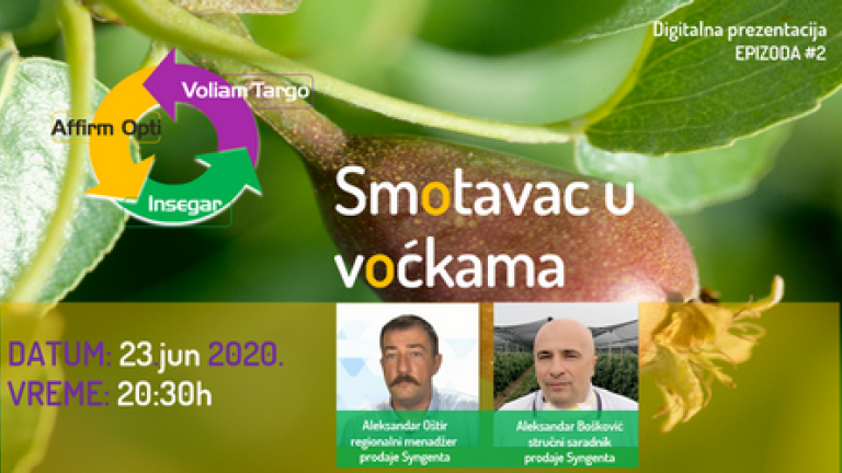 smotavac-u-vockama-syngenta-resenje