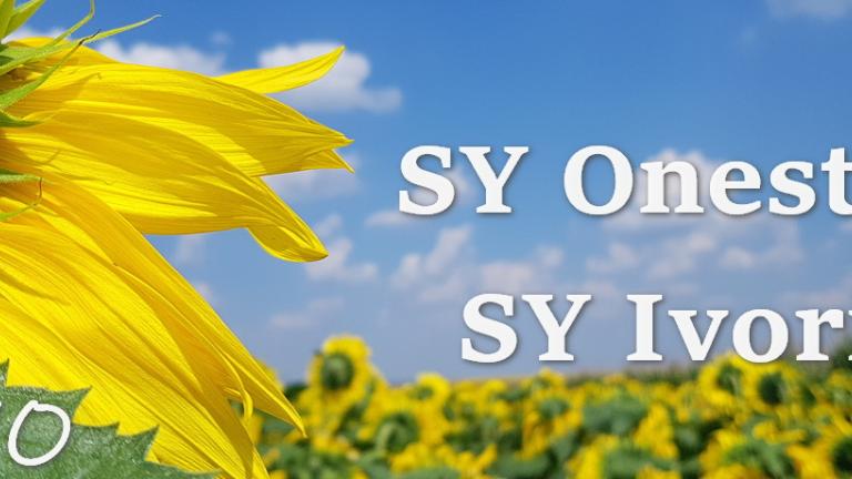 onestar-ivori-hibridi-suncokreta-syngenta