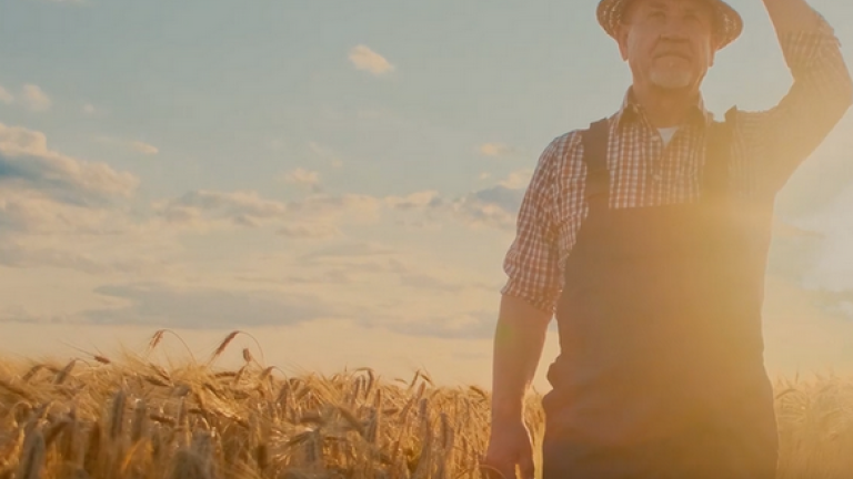 syngenta-psenice_spot