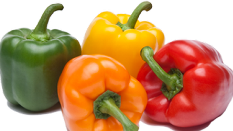 paprika-zastita-syngenta