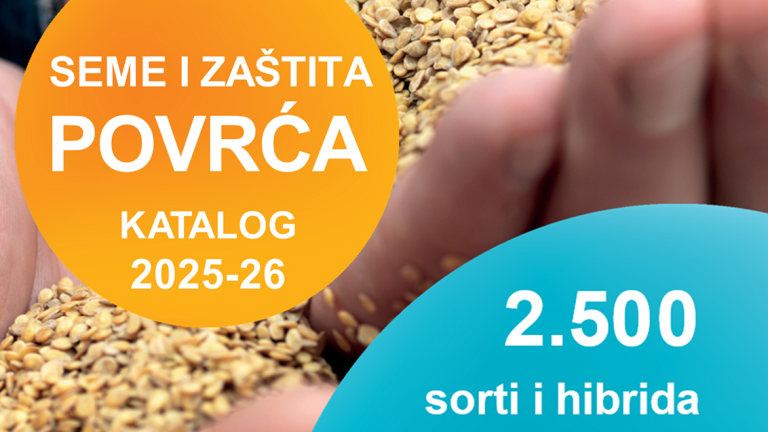 seme-povrca.syngeta_katalog_1132x637.png