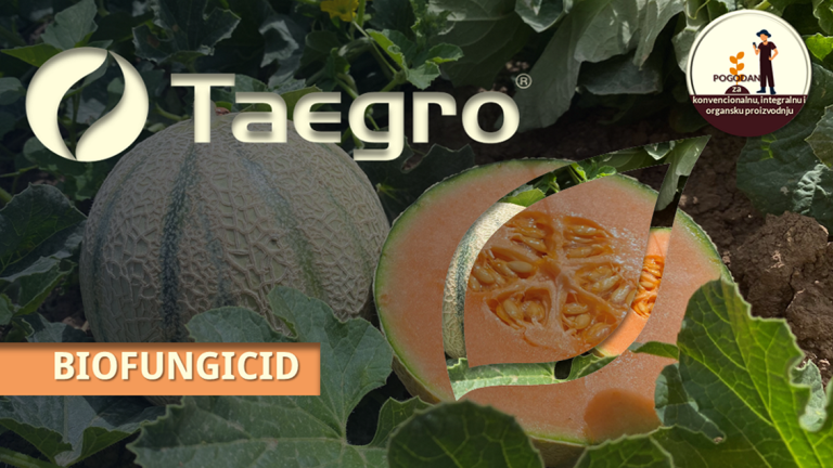taegro-biofungicid-syngenta_132x637_2.png