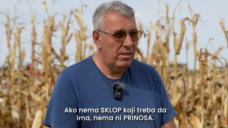 Zdravo zrno kukuruza Syngenta - reč poljoprivrednika
