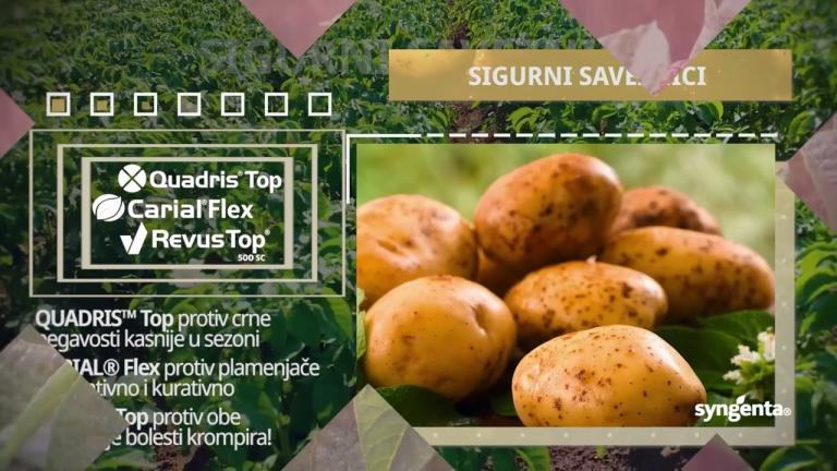 🥔🌱ZDRAV krompir od dobrog domaćina - zaštitite svoj krompir tokom sezone sa Syngenta proizvodima!