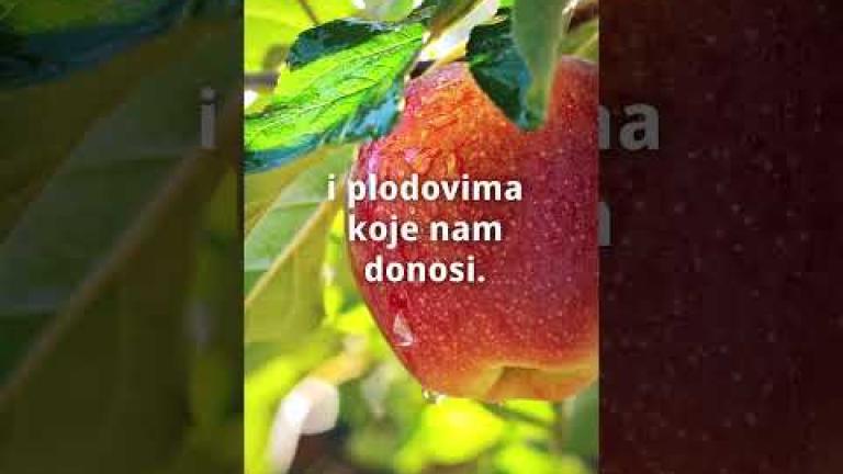 Ljubav prema poljoprivredi uz Syngenta proizvode
