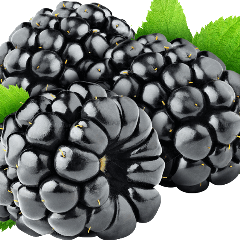 kupina_1132x637.png
