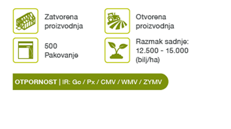angelina-tikvice-seme-povrca-syngenta_1132x637_2.png