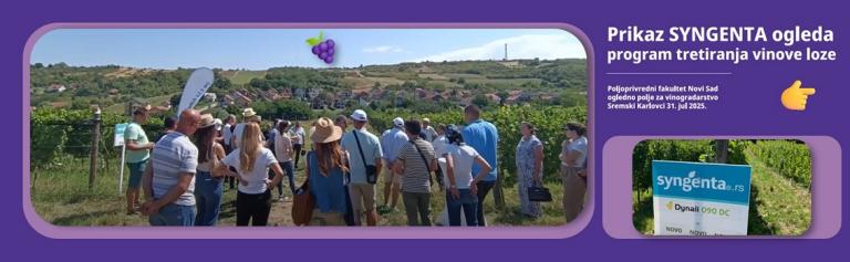 dan-polja-zastita-vinove-loze-syngenta_1132x_hm_hd.jpeg