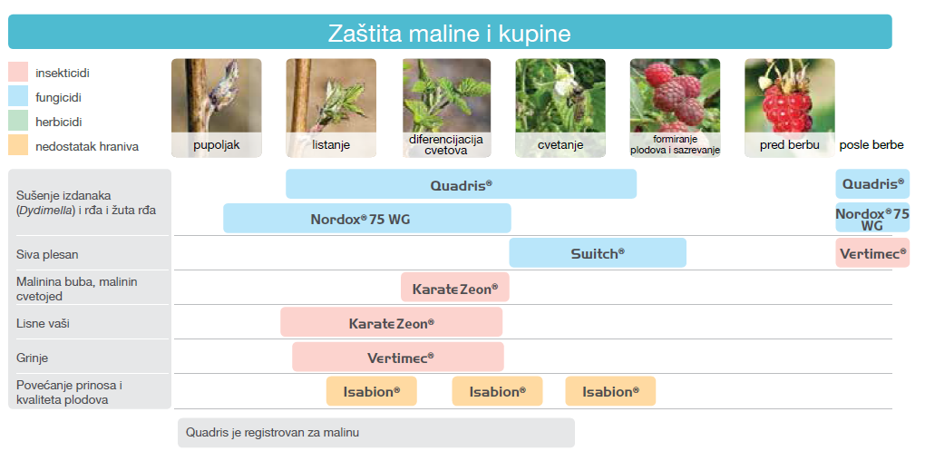 zastita-maline-kupine