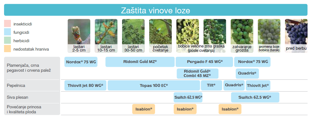 zastita-vinove-loze