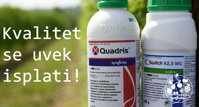 Quadris&Switch >> Kvalitet se uvek isplati