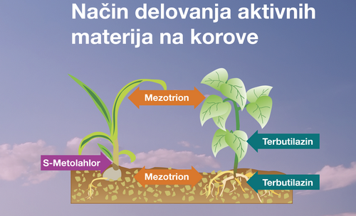 lumax-camix-rano-suzbijanje-korova