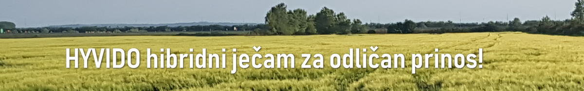 jecam-hibrid-syngenta-hyvido