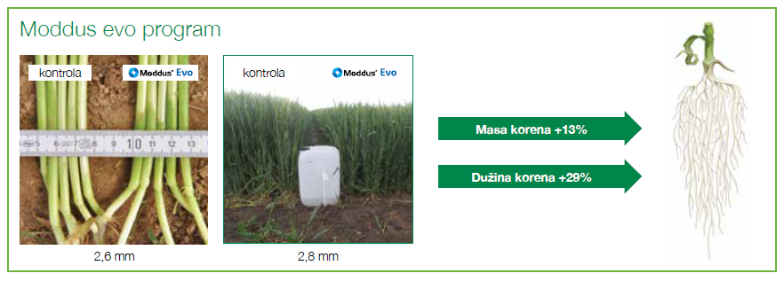 ModusEvo-program-Syngenta