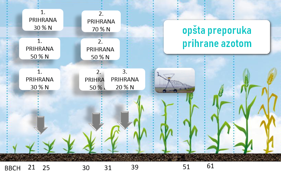 prihrana-Hyvido-jecma