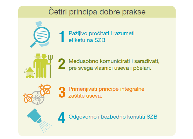 Polinatori-Syngenta