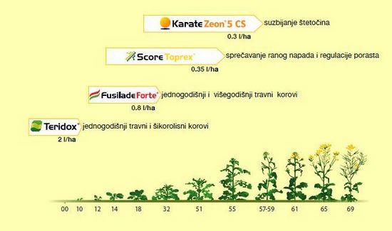 Syngenta-zastita-jesen-uljana-repica