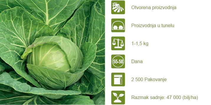 Syngenta seme kupus Kevin. 